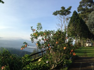 Hostel La Serrana camping spot